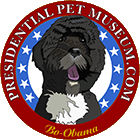 Bo Obama - The Presidential Pets Museum
